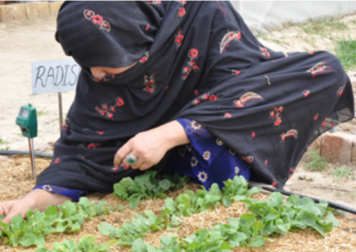 Balochistan – Kitchen Gardening Initiative