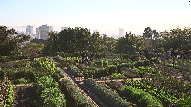 Cape Town – Abalimi Zekhaya Community Garden Organization